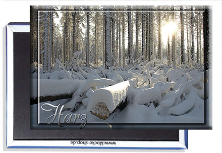 Photo-Magnet Harz 835